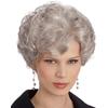 Synthetic Natural Mommy Curly Wig Silver Grey Short Wigs for Women Older Lady Hairstyle Halloween Costume Daily Heat Resistant Wigs