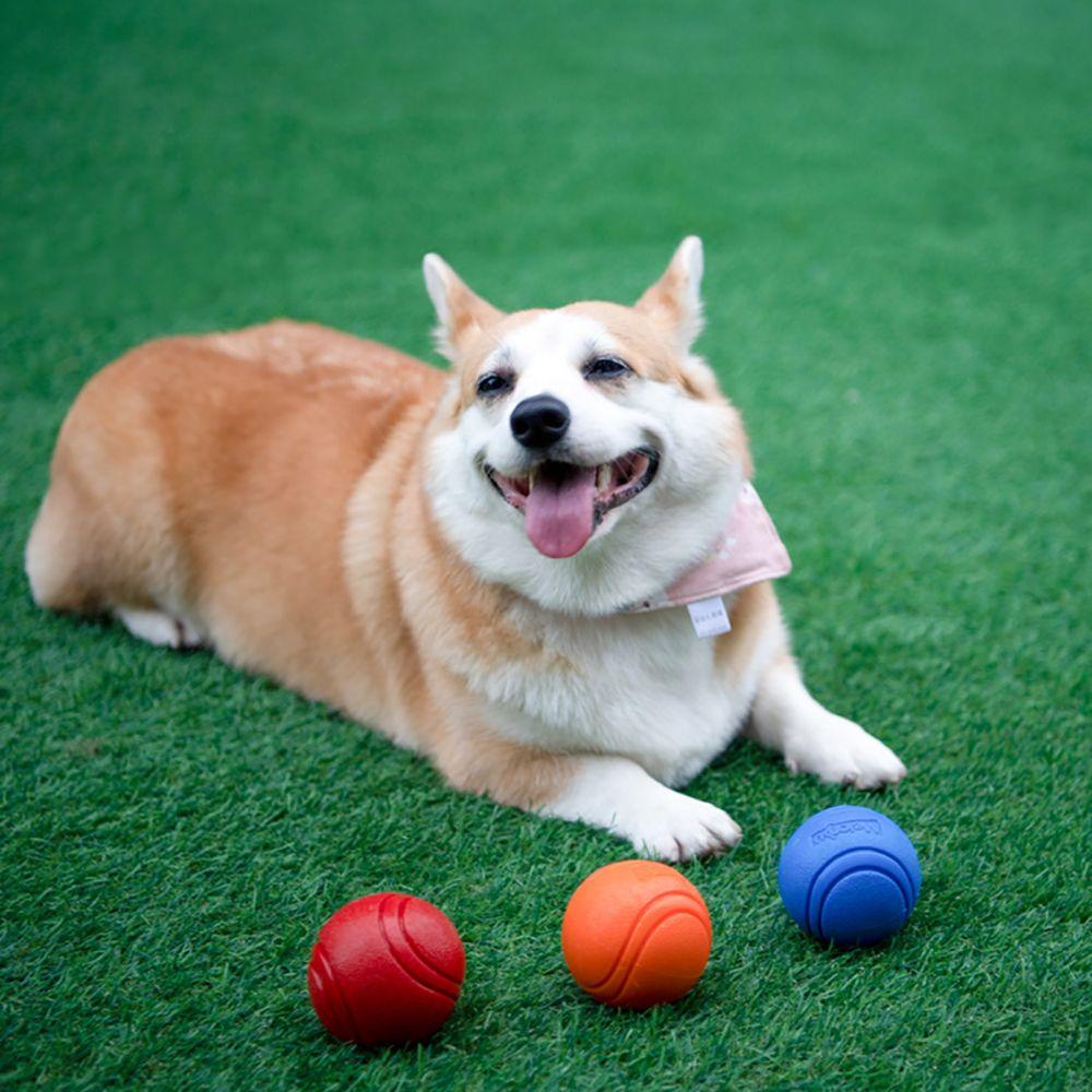 Товары для питомцев Интерактивная тренировка восстановления Игра Жевательные игрушки Собачий мяч Игрушка для собаки Прыгающий мяч