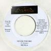 7inch Record MUNGA / GUNZALES - Never Too Big / Demm  NONE S.S.M.G. Jamaica Reggae, Ska & Dub Used