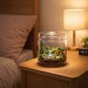 Transparent Glass Terrarium Cylinder Perforated Cover Desktop Glass Vase Decorative Succulent Moss Viewing Bottle Desktop Decor