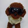 UV Resistant Dog Sunglasses Windproof Pet Glasses Dog Accessories Dog Goggles Travel