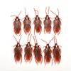 Halloween Special Model Amusing Prank Cockroach Shape Toy Joke Fake Roaches Lifelike Blackbeetle