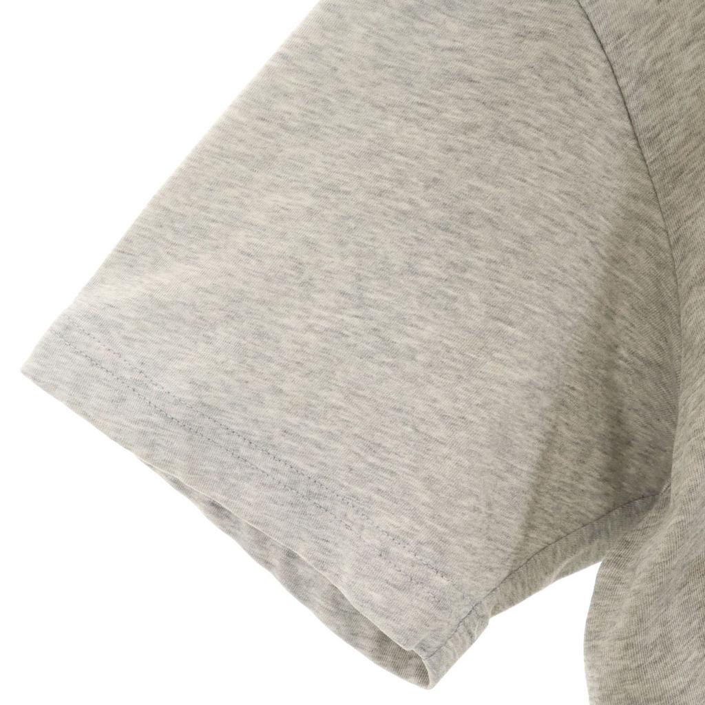 THE NORTH FACE Back logo Short sleeve T-shirt L gray Men's Used