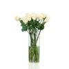 Shatter-resistant impact-resistant vase children pets indoor outdoor decorative flower container 10X30CM