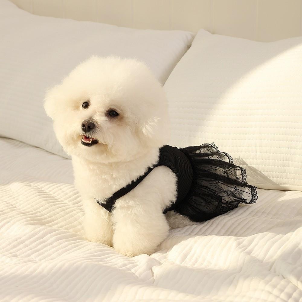 Lace Detail Pet Dresses Princess Style Dog Clothing Fashion Pet Vest for Cats