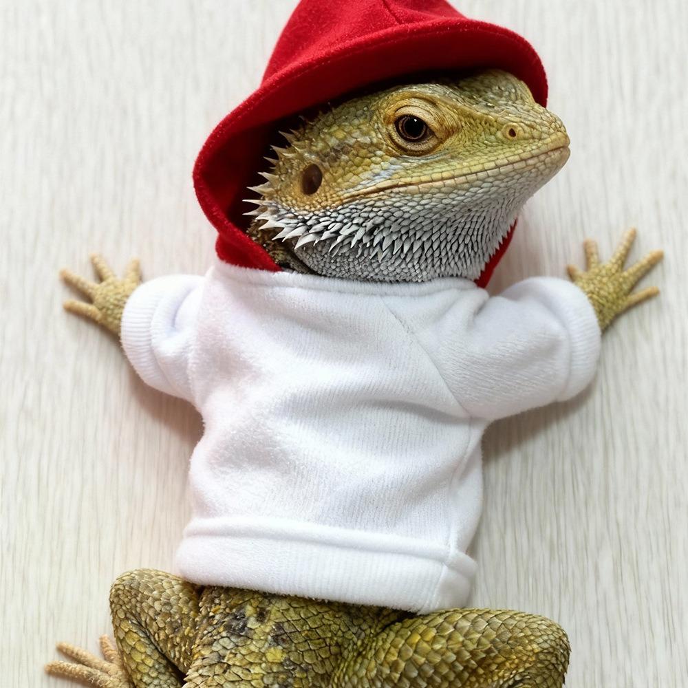 Warm Reptile Hoodies Handmade Bearded Dragon Hoodies Cute Lizards Clothes Photo Outfit