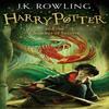 Harry Potter and the Chamber of Secrets by J.K. Rowling Paperback Book 9781408855669