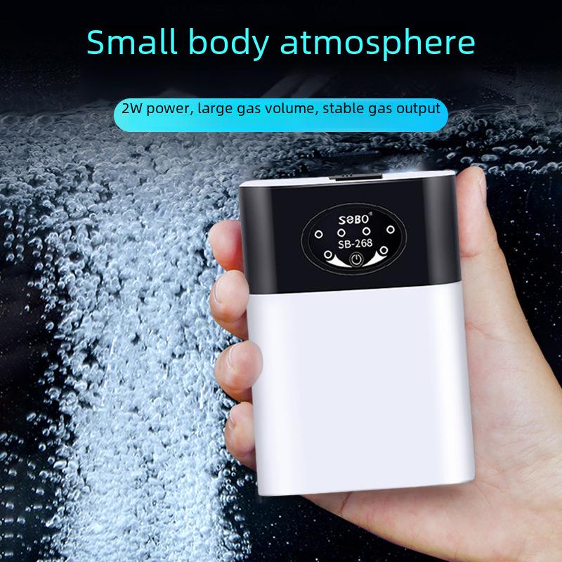 Бесшумный двухцелевой кислородный насос Songbao: Аккумуляторный аэратор переменного/постоянного тока для аквариумов