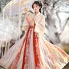 Chinese Wei And Jin Dynasties Style Hanfu Daily Women's Clothes Set