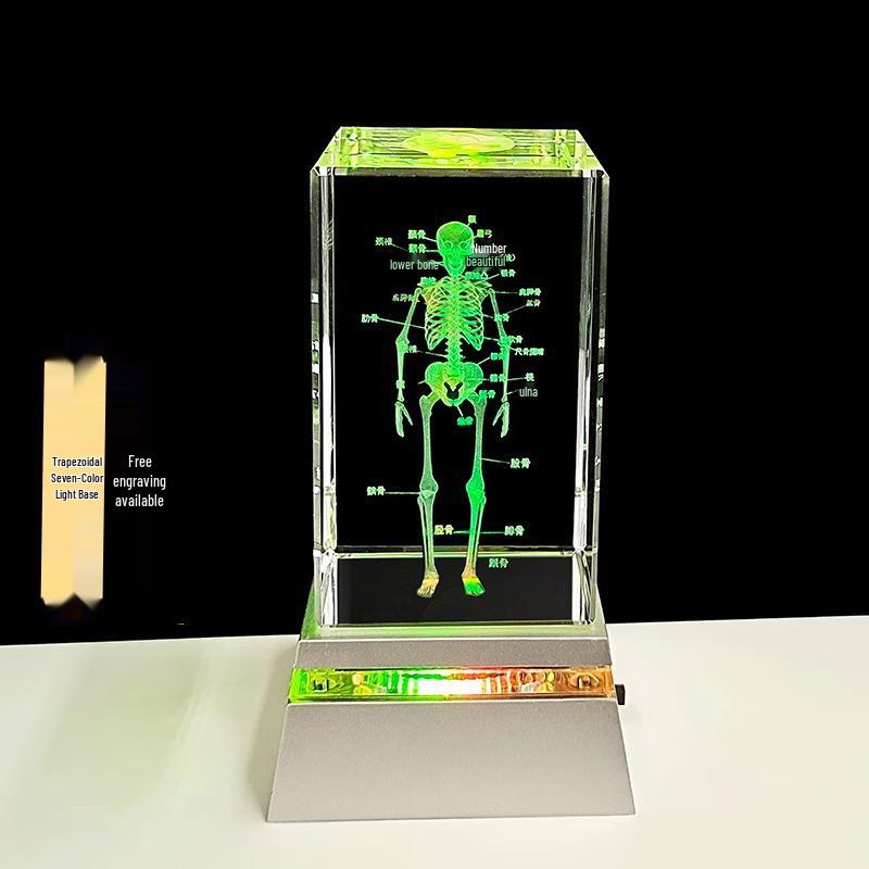 3D резная модель мозга скелета, орнамент - Белый хрустальный сувенир для студентов-медиков и врачей