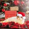 Pet Santa Hat Red Fleece Santa Claus Hat Dog Cat Dress-up Costume for Puppy Kitten Small Cats Dogs Holiday Cosplay Accessory