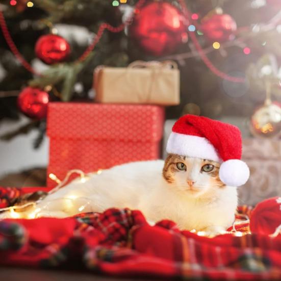 Pet Santa Hat Red Fleece Santa Claus Hat Dog Cat Dress-up Costume for Puppy Kitten Small Cats Dogs Holiday Cosplay Accessory