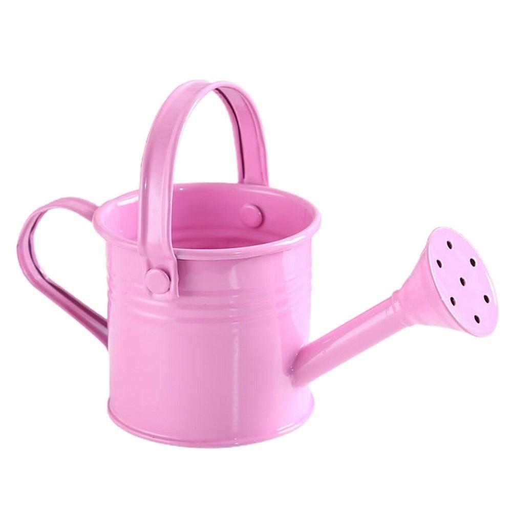 Home Kawaii Mini Water Spraying Pot Flower Kettle Metal Watering Can