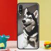 Сибирский Хаски Ездовая Собака Для Huawei Nova Y91 Y90 Y60 Y70 Y72 Y61 9 10 SE 12i 12s 11i 5T P60 Pro P20 P30 P40 Lite Чехол