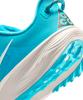 [Nike] ACG Pegasus Trail M (HV8116-400)