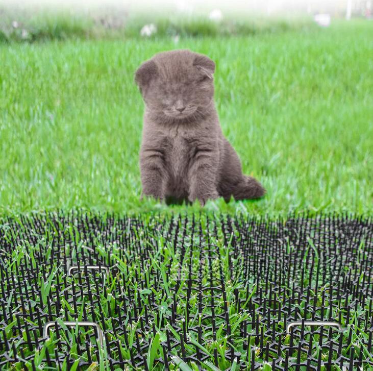 Сетка отпугивающая кошек: Защитите автомобили, пруды для разведения рыбы, кровати, диваны и многое другое от бродячих кошек