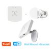 Tuya WiFi / Zigbee Детектор присутствия человека, Детектирование освещенности/расстояния, Умный PIR-сенсор человеческого тела, Поддержка Home Assistant