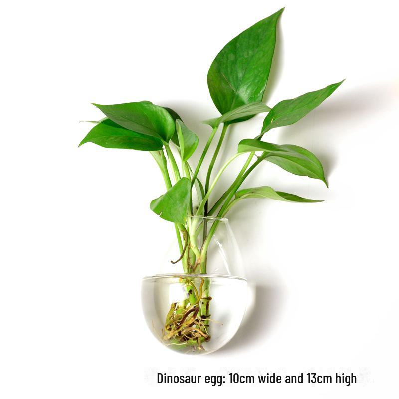 Ваза из выдувного стекла ручной работы для украшения стен и цветочных композиций