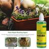Succulent Rooting Agent 3.3oz Liquid Succulent Food Universal Fast Rooting Plant Food For Transplanted Plants And Fruits