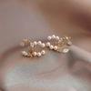 Double C Fashion Pearl Earrings Fairy 925 Silver Needle Cute Earrings for Women  Luxury Jewelry Wholesale