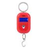 Portable Mini 25kg/5g Electronic Scale Digital Pocket Key Chain Weight Hook