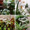 Automatic Plant Watering Device Self Watering Bird Star Mushroom Shape Clear Glass Watering Device for Home Garden Flower Plants