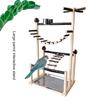 Sturdy Natural Wood Parrot Training Stand With Removable Tray Climbing Ladder Rotating Perch For Large Birds Exercise And Play