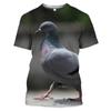 Summer Wild Pigeon Pattern 3D Print T-Shirts Hip Hop O-Neck Short Sleeve Oversized Harajuku Men's T-shirts