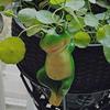 Planter Frog Figurine Resin Frog Flowerpot Decoration Flower Pot Edge Hanging Frog for Garden Potted Plants Bonsai