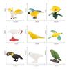Small Hummingbird Animal Model Pvc Nature Scene Display For Childrens Classroom Use