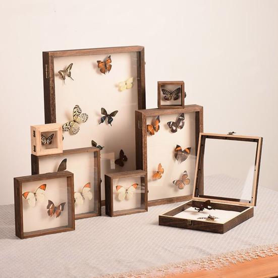 Витрина с высокой видимостью. Большой теневой ящик для насекомых. Деревянная конструкция. Несколько размеров. Витрина для хранения образцов насекомых с гладкими краями.