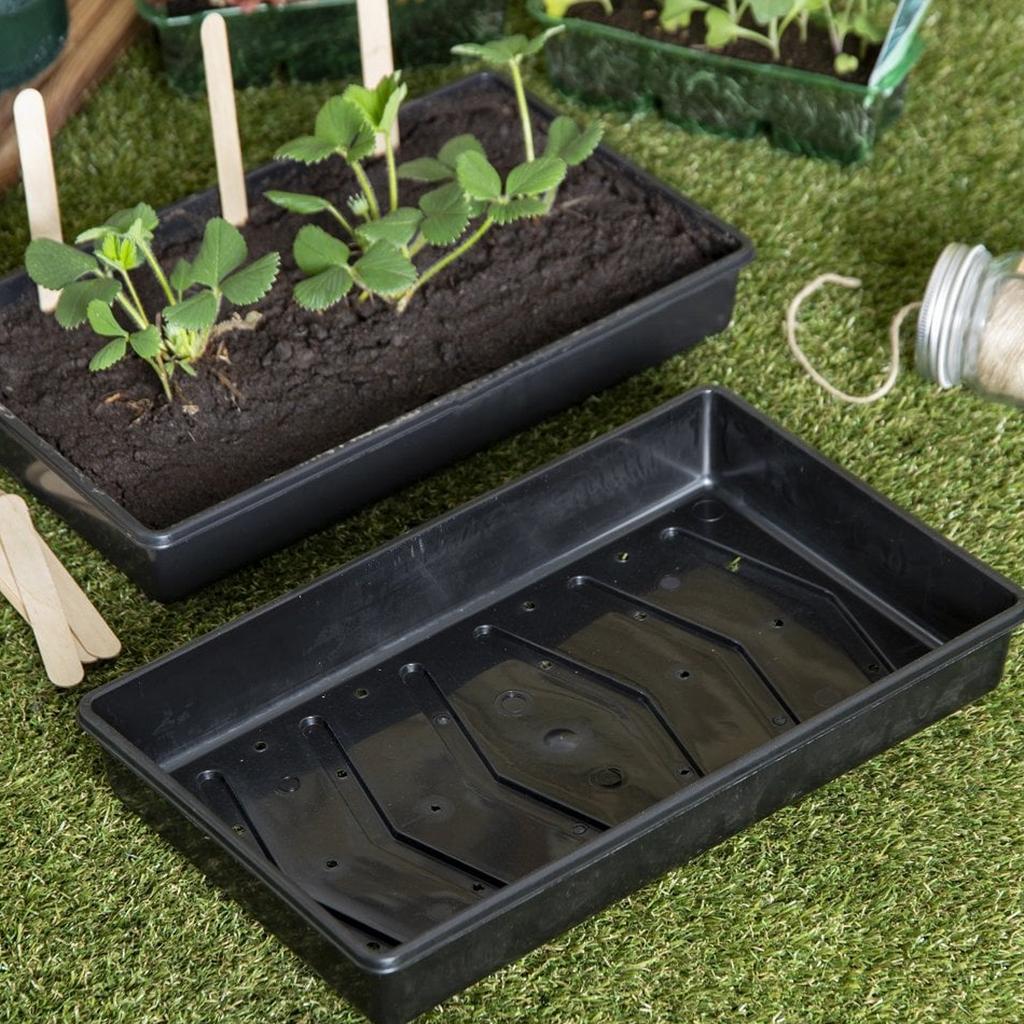 Eden Seed Tray Large Black 38 X 22cm