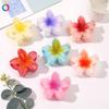 Fashion Bauhinia Egg Flower Hair Clip Back Head Bun Grab Clip Shark Hair Clip Accessories
