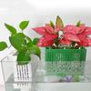 Aquarium Plant Holder with Hooks Fish Tank Plant Stand Aquarium Planter Cup Hydroponic Basket for Aquatic Plant Cultivation