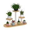 Lion Search Multi-Layer Iron Flower Stand