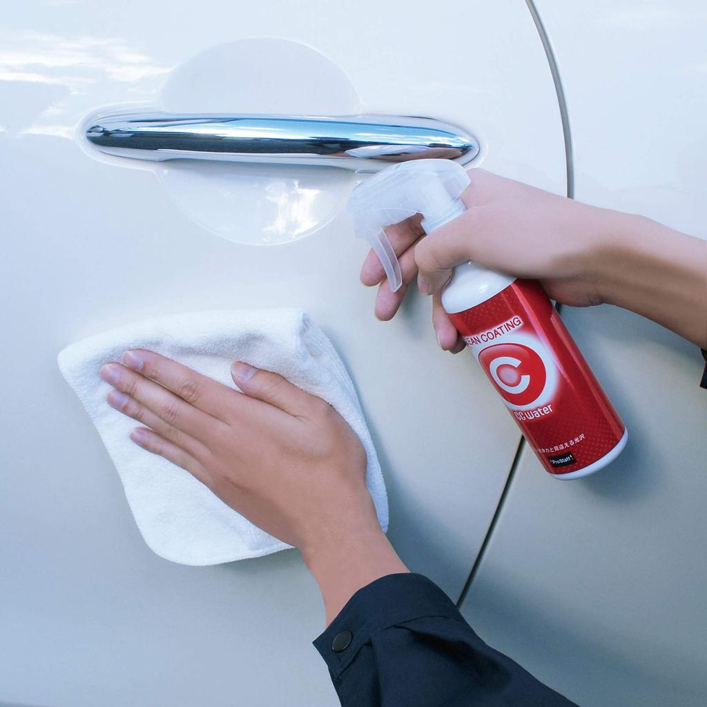 Prostaff CC Water Clean Glass Body Coating с микрофиброй S169 Покрытие, 300 мл, Ткань,