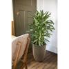 CAPI EUROPE Vase élégant GROOVE - 34x46 cm - Noir et doré - Résistant aux intempéries