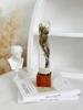 Retro Glass Dome Plant Specimen with Preserved Dried Flowers - Ideal Gift for Graduation, Birthday, Valentine's Day, or Teacher's Day.