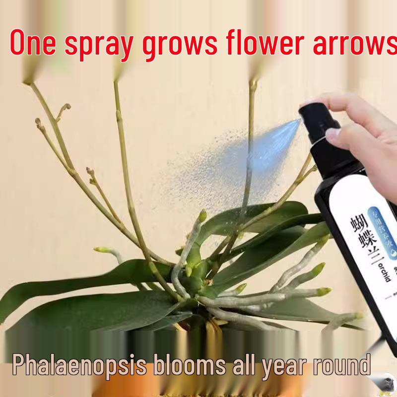 Фаленопсис Взрыв: Специальное питательное вещество для орхидей для цветения цветоносов и предотвращения пожелтения листьев - Универсальное органическое удобрение