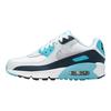 Кроссовки Air Max 90 GS Baltic Blue Kids White Armory-Navy Wolf-Grey HF6358-100