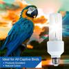 EYFL-4X UVA UVB Light Bulb For Birds 2.4 UVB 20W Compact Flourescent Lamp For All Kinds Captive Birds A