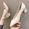 Women's Single Shoes Spring and Autumn New Korean Version Pointed Toe Thick Heel High Heels Workplace Dress Work Two Wear Women's Shoes