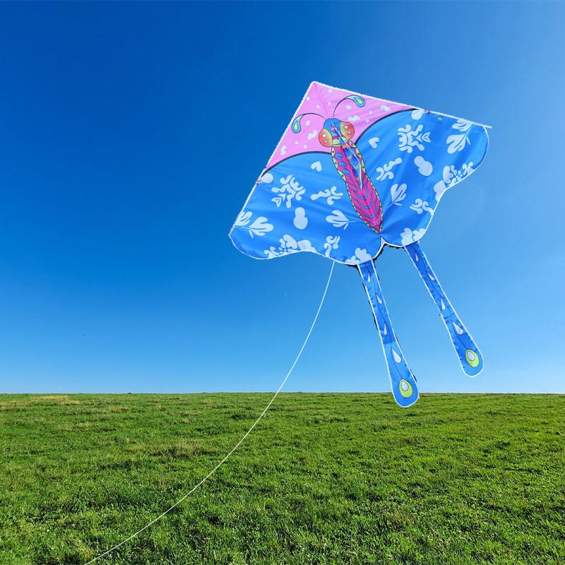 High Definition 1.45m Butterfly Kite For Kids In New Cartoon Style