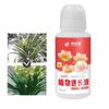Succulent Fertilizer Plant Growth Enhancer Supplement Universal Plant Nutrient Solution Plant Fast-growing Liquid For Plants
