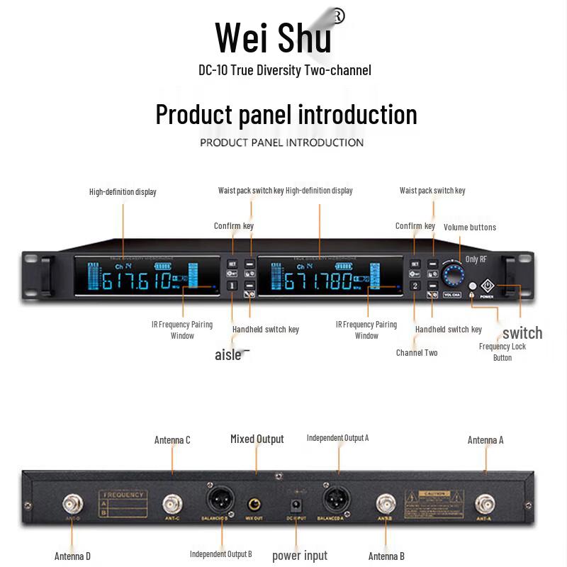 Weishu Zhen DC-10ST Professional Dual Headset Wireless Microphone System