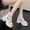 Summer New Student Muffin Women's Shoes Platform Mid-heeled Flat-soled Women's Sandals High-heeled Open-toed Casual Shoes