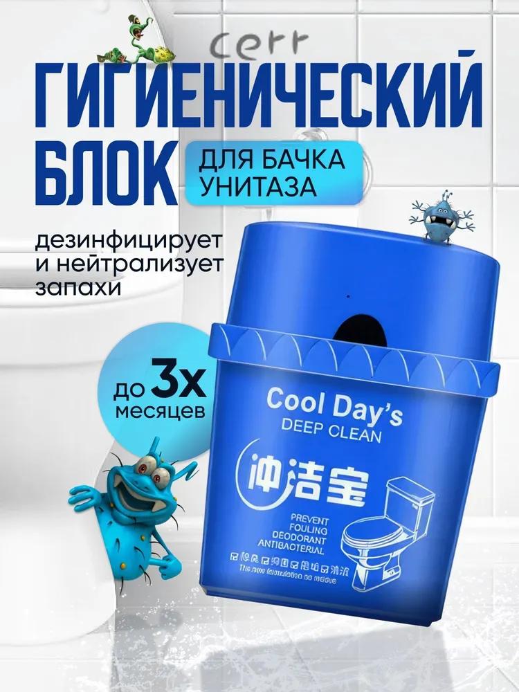 Toilet Cleaner Toilet Block Cool day s 2pcs.