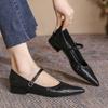 Pointed High Heels French Soft Sole Shoes Versatile Light Women's Shoes One-strap Shallow Mouth Mary Jane Shoes