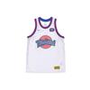Nike Джерси LeBron X Tune Squad Dna CW4279-100