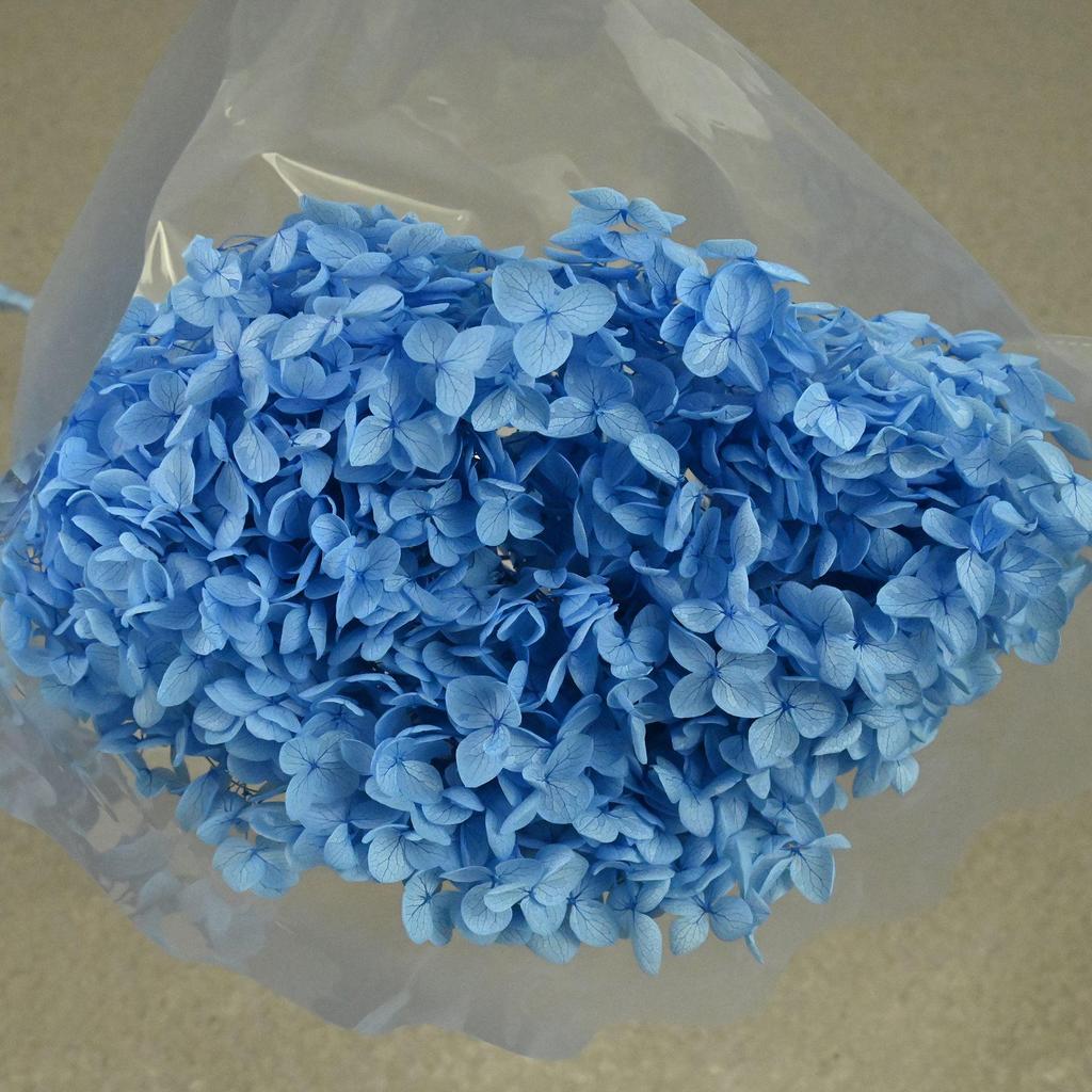 Phantom Flower: Single 20CM Preserved Hydrangea, Handmade Dried Bouquet for Decoration